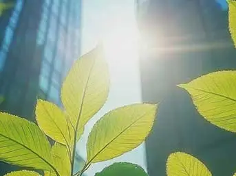 Environmental, Social and Governance